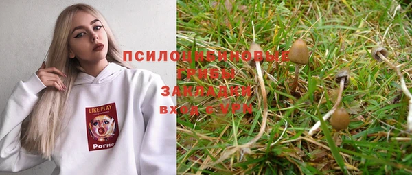 a pvp Белоозёрский